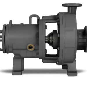 D Mark III Series Pumps (ANSI Pumps)